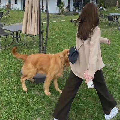 新仙鹤神针